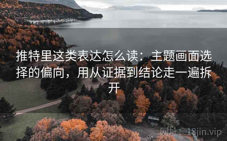 推特里这类表达怎么读：主题画面选择的偏向，用从证据到结论走一遍拆开